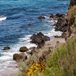 Meet your Posher, Irina.